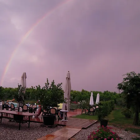 Фермерский дом La Prosciutta Фаэнца