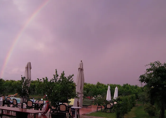 Çiftlik konaklama La Prosciutta Faenza